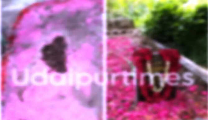 cemetry