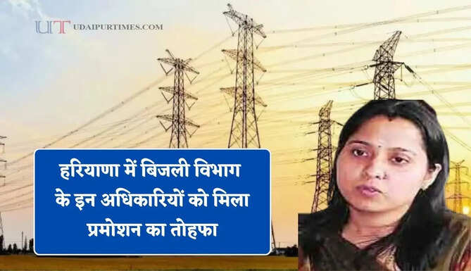 हरियाणा में बिजली विभाग के इन अधिकारियों को मिला प्रमोशन का तोहफा, देखें पूरी लिस्ट&nbsp;