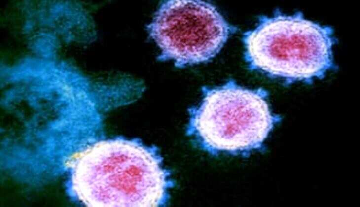 न्यू स्ट्रेन का भय, राज्य में सख्ती से निपटने पर फोक्स