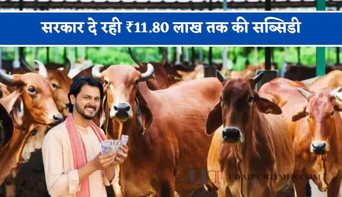 10 देसी गायों वाली डेयरी यूनिट लगाने पर सरकार दे रही ₹11.80 लाख तक की सब्सिडी, ऐसे उठाए योजना का लाभ ?