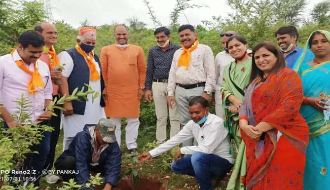 plantation
