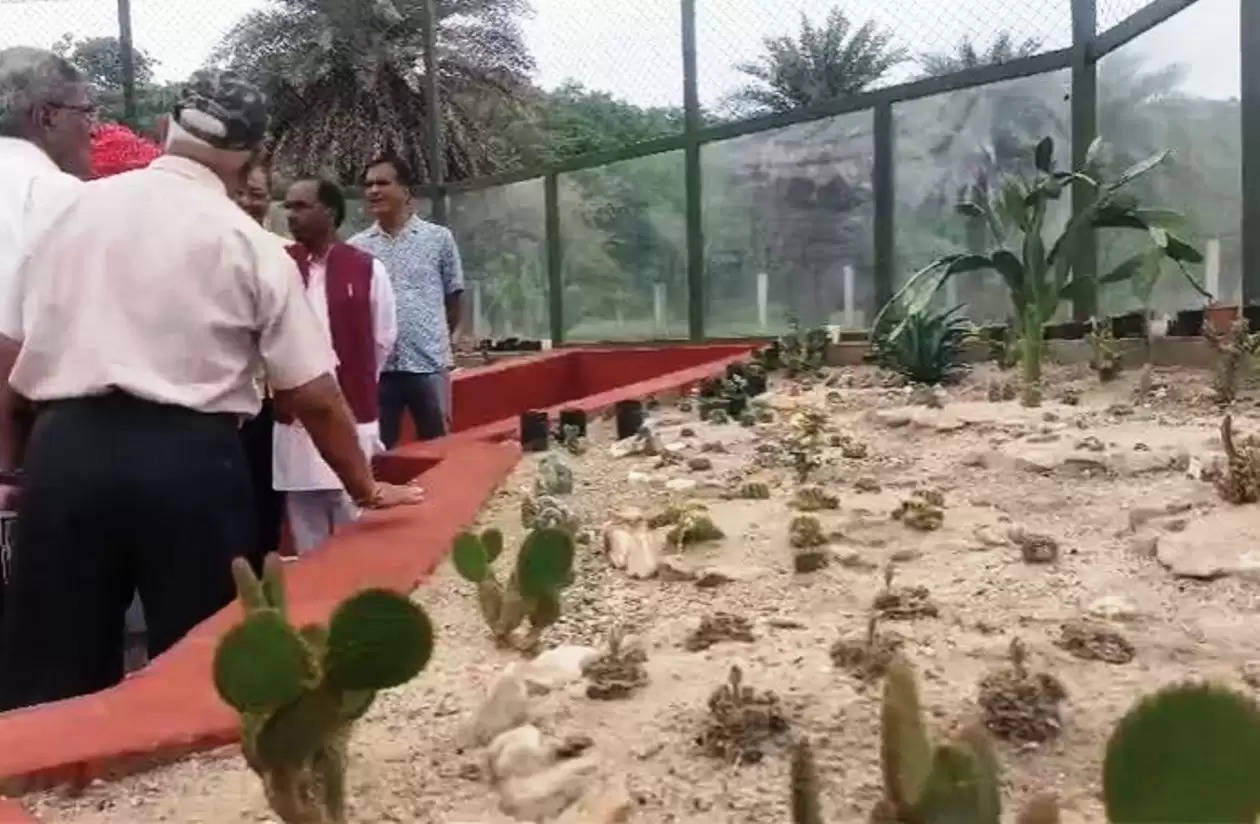 cactus garden kevda ki naal