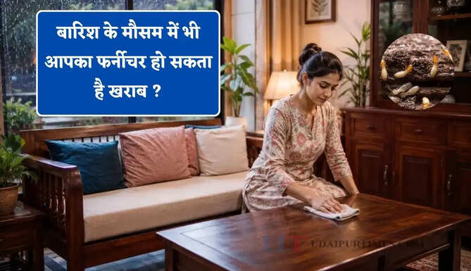 बारिश के मौसम में भी आपका फर्नीचर हो सकता है खराब ? नमी, फंगस और दीमक से बचाने के लिए अपनाएं ये आसान टिप्स