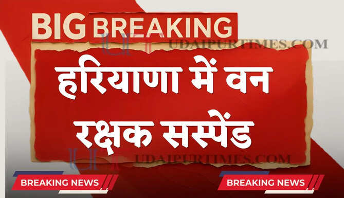 हरियाणा में वन रक्षक सस्पेंड, हाईकोर्ट की रोक के बावजूद हाईवे किनारे काटे 80 पेड़