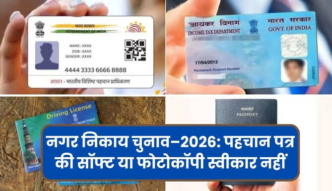 ALternative Voter ID