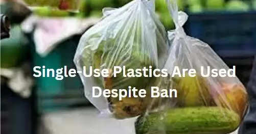 Single-use plastic used despite ban