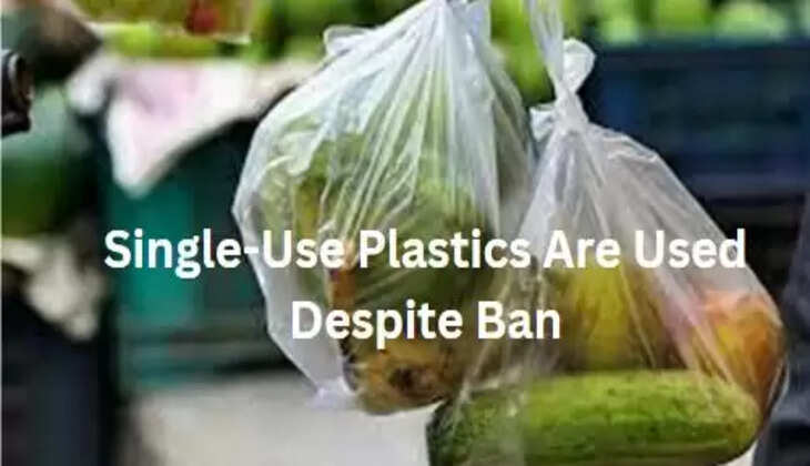 Single-use plastic used despite ban