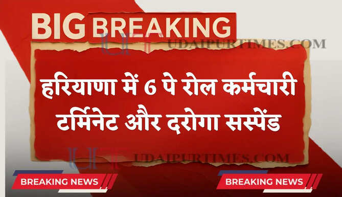 हरियाणा में 6 पे रोल कर्मचारी टर्मिनेट और दरोगा सस्पेंड, जाने वजह ?
