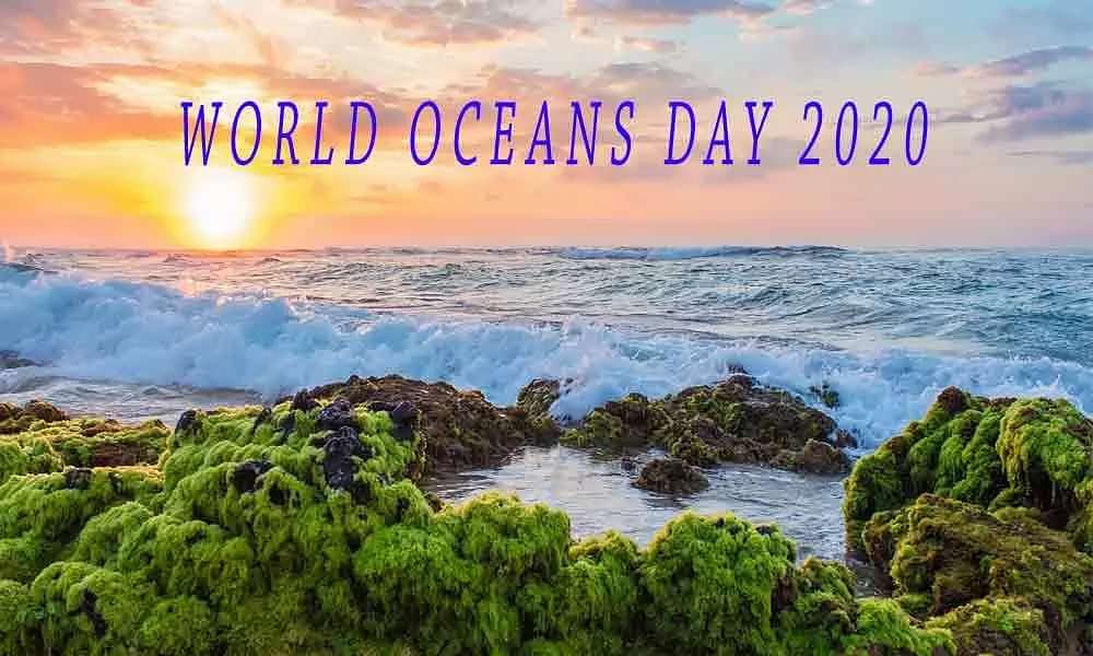 World Oceans Day - the importance of water | Dr. Megha Chaudhary