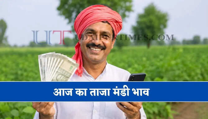 दिल्ली- हरियाणा समेत कई राज्यों की मंडियों के भाव, देखें किस रेट पर बिक रही फसलें ?