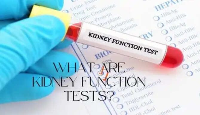What are Kidney Function Tests?
