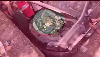 Udaipur Forest Team Rescues 7-Foot Python from Car Engine