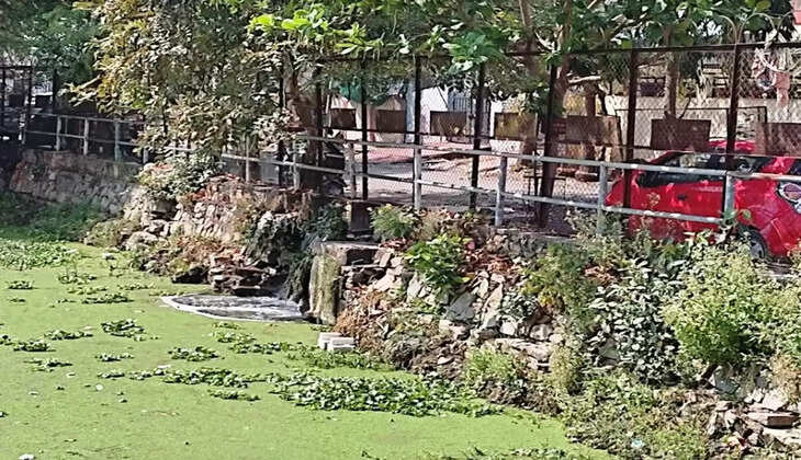 sewarage water mixed in pichola