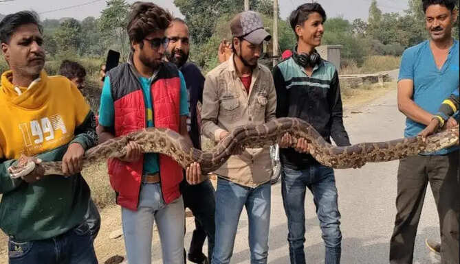 python