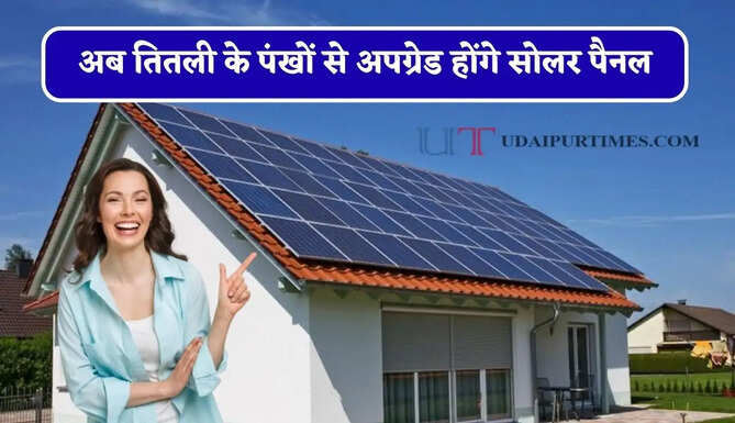 अब तितली के पंखों से अपग्रेड होंगे सोलर पैनल, बिजली उत्पादन में होगी बढ़ोतरी&nbsp;