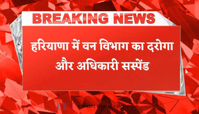 हरियाणा में वन विभाग का दरोगा और अधिकारी सस्पेंड, सीएम विंडो की शिकायत की लापरवाही पड़ी भारी