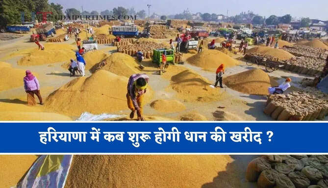 हरियाणा में कब शुरू होगी धान की खरीद ? जाने MSP रेट में कितना हुआ इजाफा