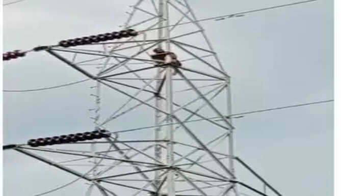 tower