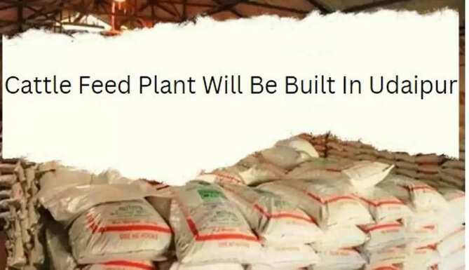 Cattle Feed Plant In Udaipur