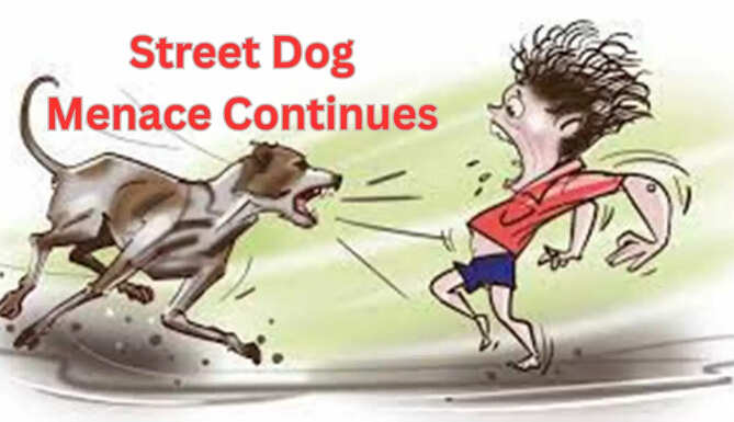 Kota dog attack