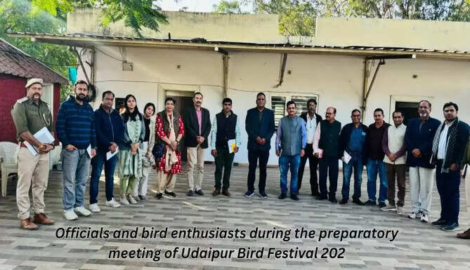 Bird fest