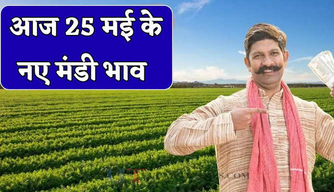  Mandi Bhav : नरमा-ग्वार के भाव में बड़ी तेजी, देखें सभी मंडियों के नए रेट