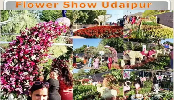Flower Show Udaipur