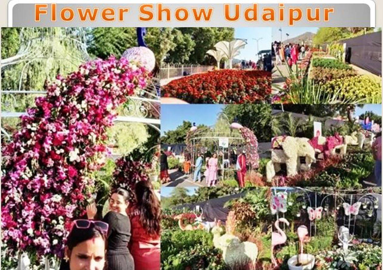 flower show