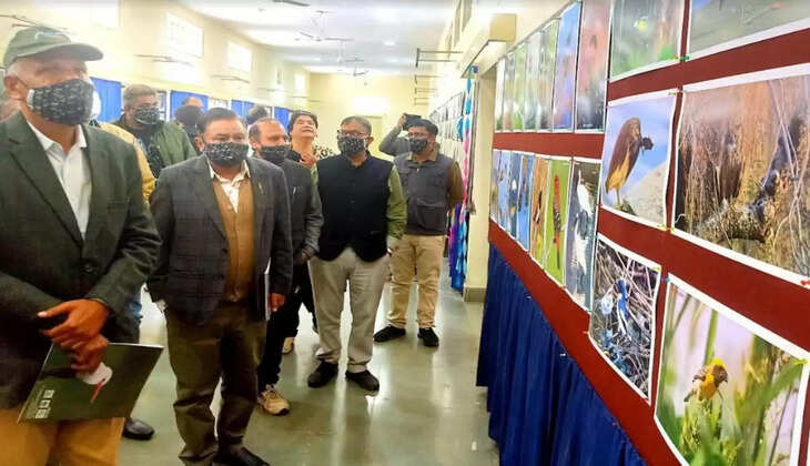 udaipur bird festival