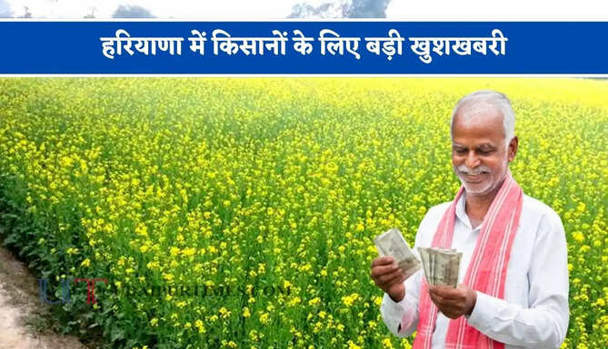 हरियाणा में किसानों के लिए बड़ी खुशखबरी, सरसों के MSP में 413 रुपये बढ़ोतरी, जाने रबी फसलों के नए भाव ?