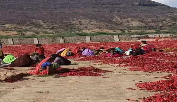 Red Chilli