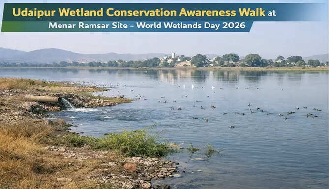 wetland