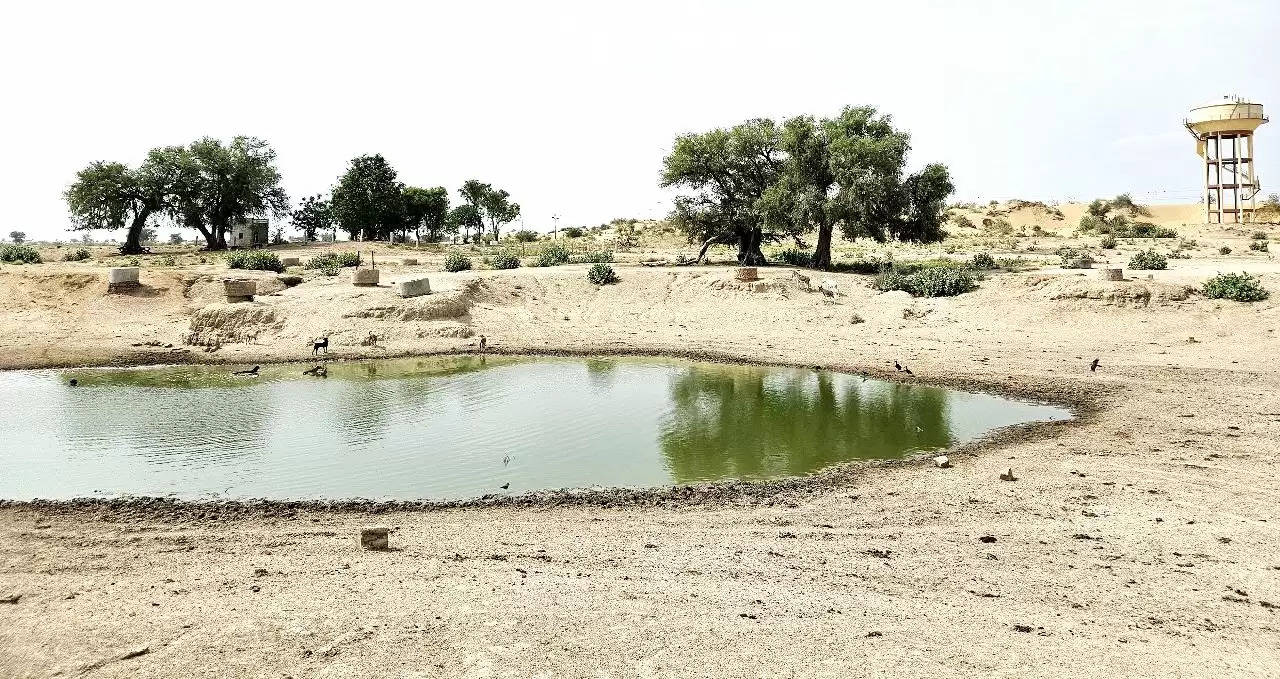 Rural areas of Rajasthan facing problems of salty water