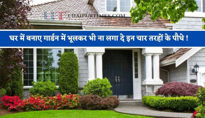 घर में बनाए गार्डन में भूलकर भी ना लगा दे इन चार तरहों के पौधे ! वरना बन जाएगा सांपों का बसेरा&nbsp;