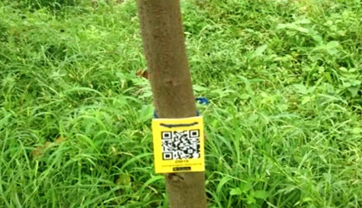 geo tagging on trees