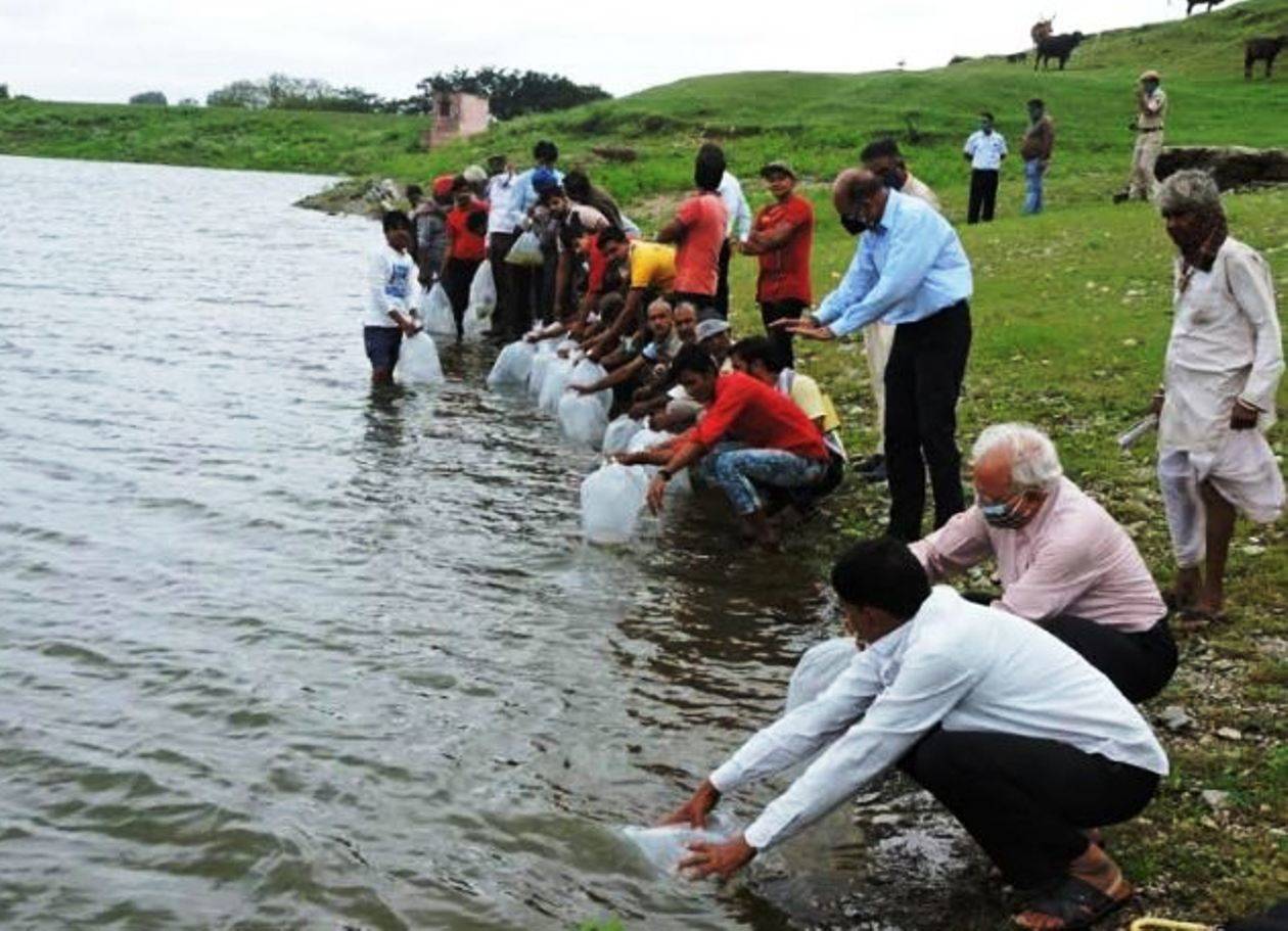 नांदेशमा तालाब में होगा मत्स्य संवर्धन