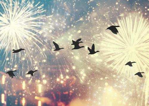 Fire-Crackers disrupt peace of migratory birds