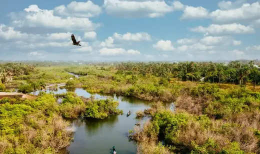 Wetland udaipur