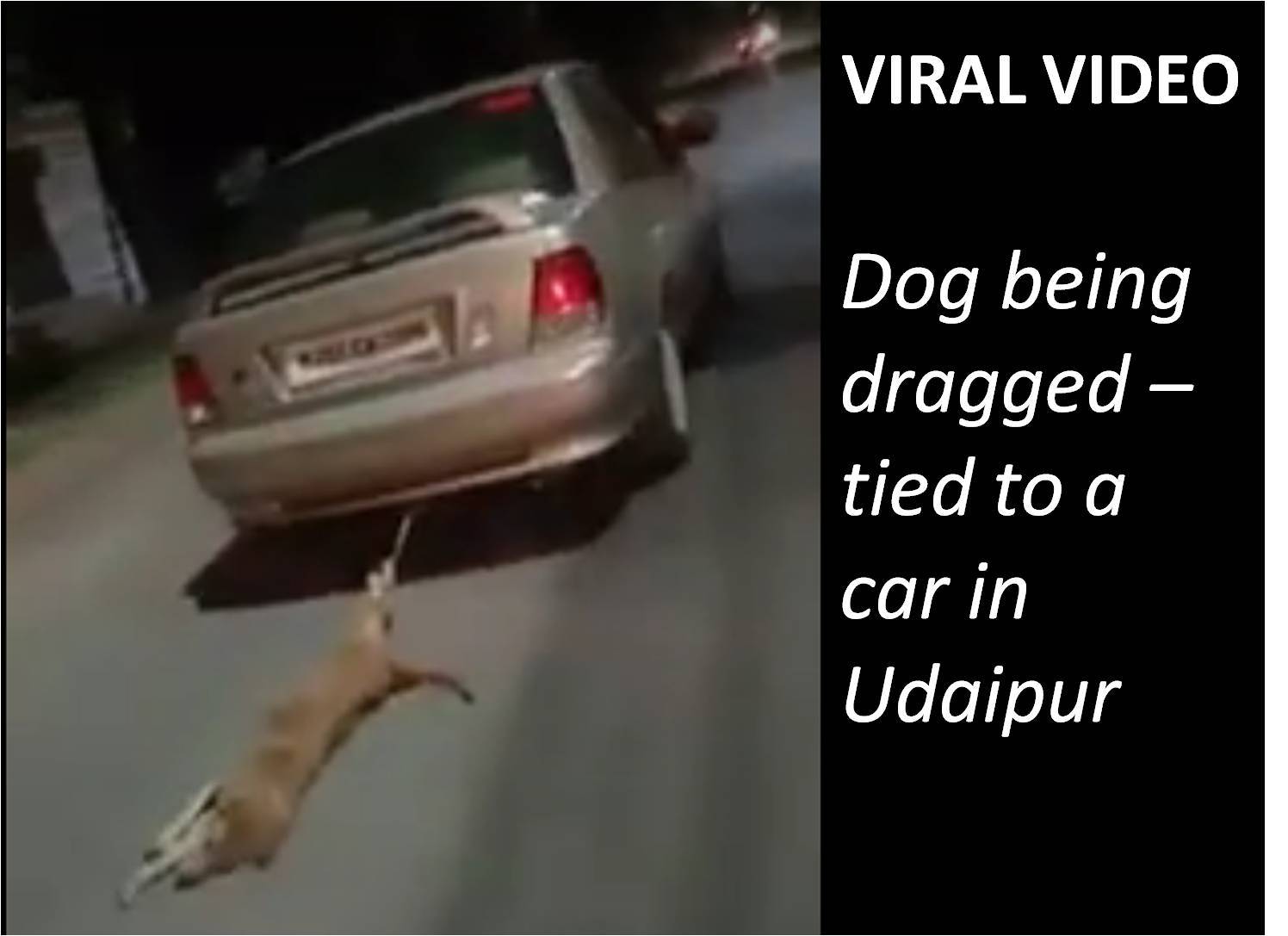 Video goes Viral | Dog being dragged on the road - tied to a car