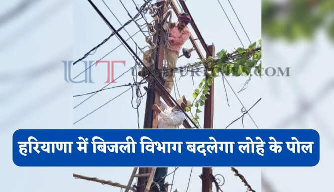 हरियाणा में बिजली विभाग बदलेगा लोहे के पोल, जल्द लगेंगे PCC पोल&nbsp;