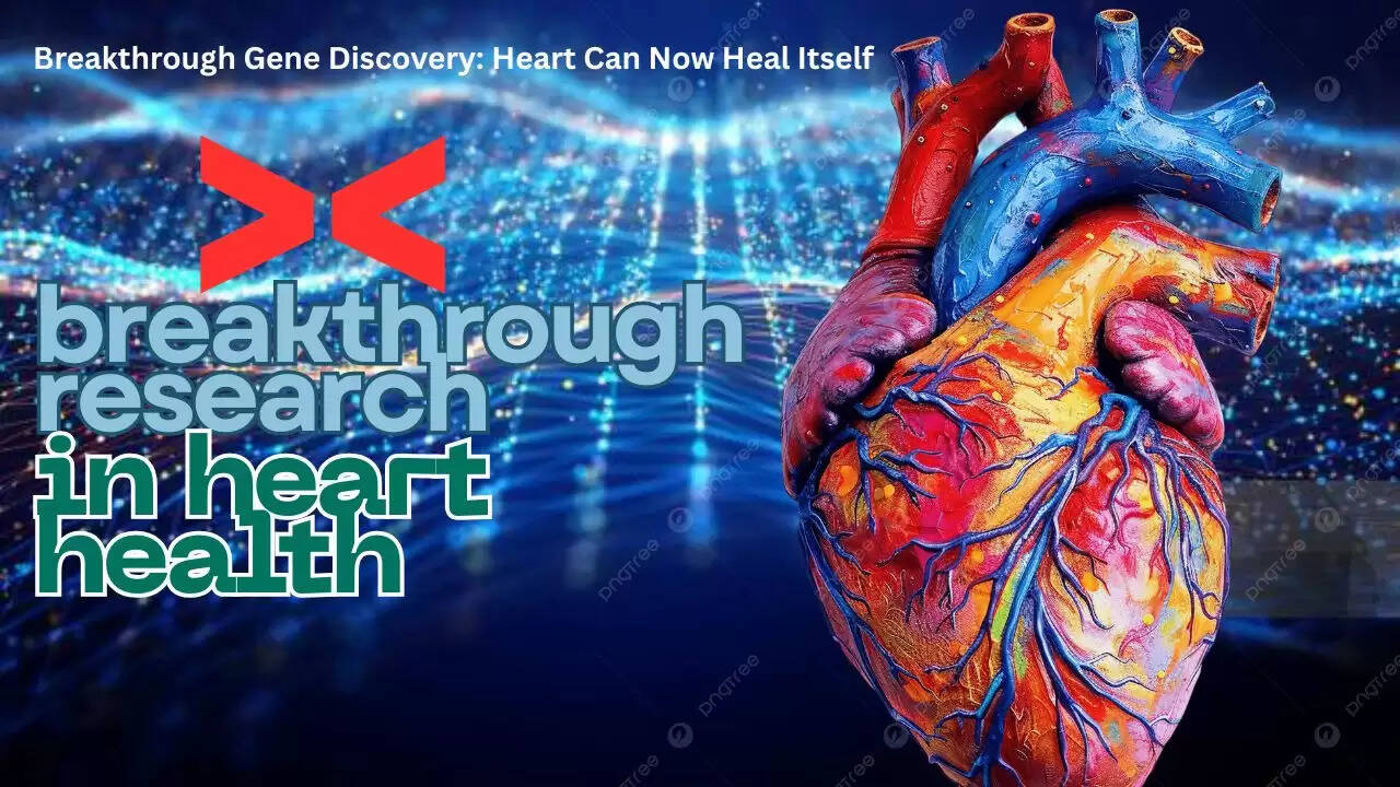 Mount Sinai Research Dr. Hina Chaudhry discovers CCNA2 gene enabling human heart self-repair after heart attack