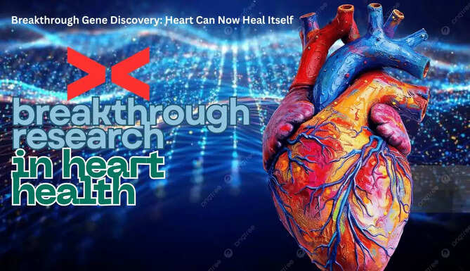 Mount Sinai Research Dr. Hina Chaudhry discovers CCNA2 gene enabling human heart self-repair after heart attack