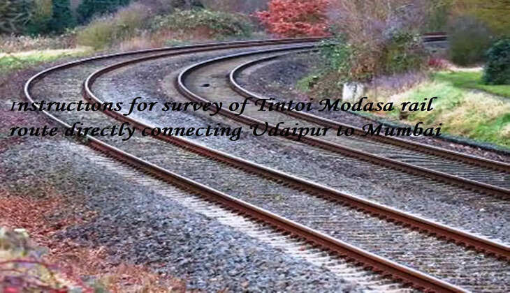 Tintoi Modasa rail root
