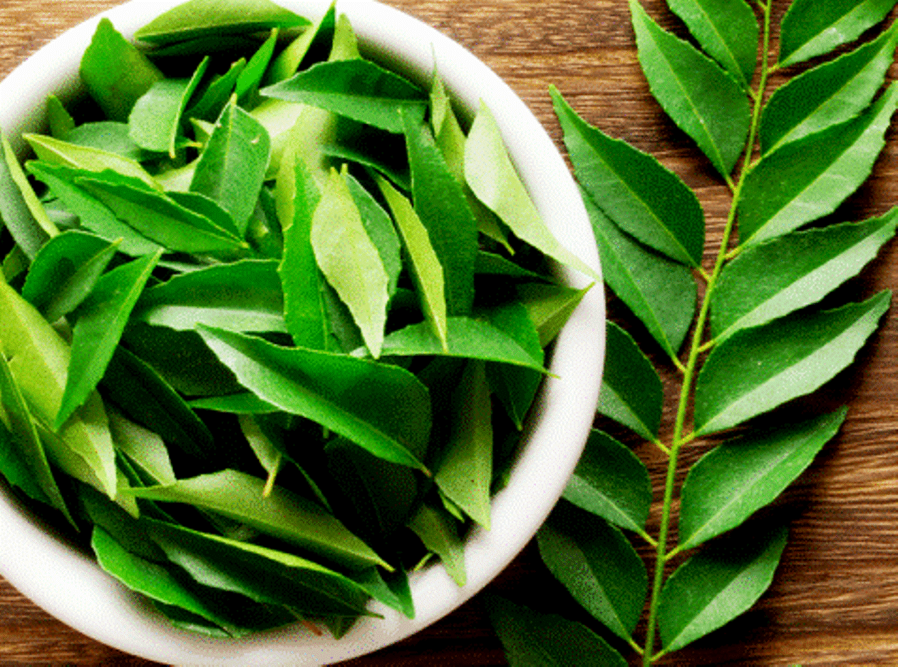 Do you know that the curry leaves or the kadhi patta has many health benefits?