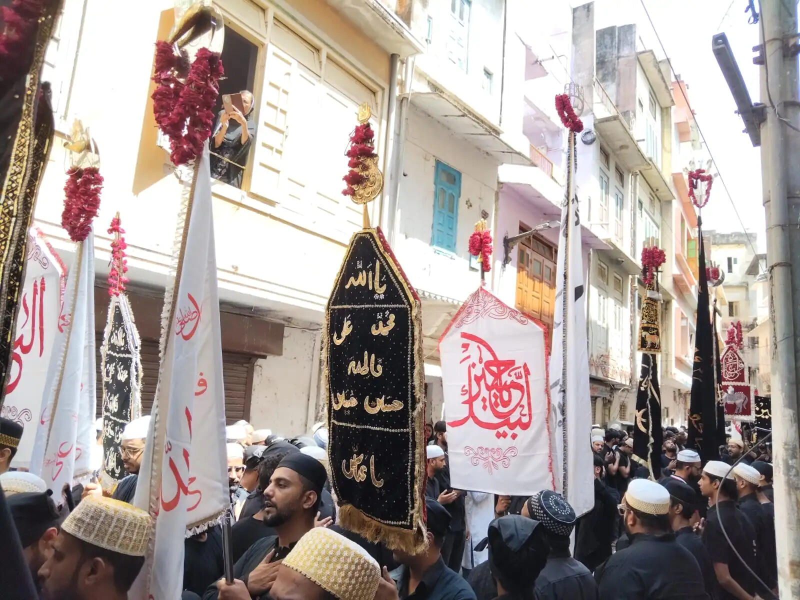 Ashura julus
