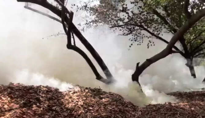 fire at gulab bagh