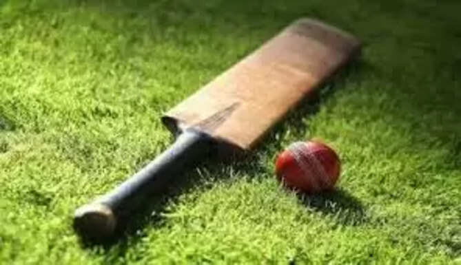 Cricket 