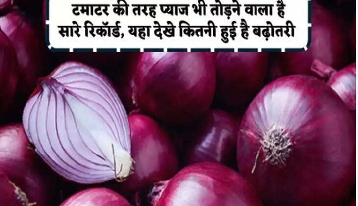 Onion Price Hike