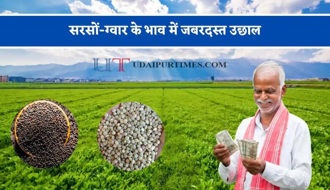 सरसों-ग्वार के भाव में जबरदस्त उछाल, देखें सभी मंडियों के नए रेट