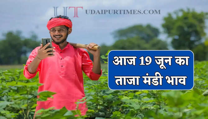 Mandi Bhav : नरमा-ग्वार के भाव में आया उछाल, देखें सभी मंडियों के नए रेट